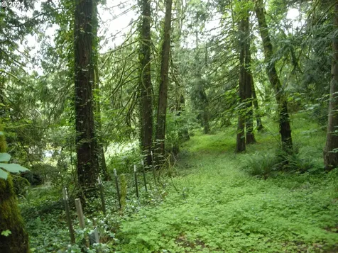 12643 Nw Jackson Quarry Road Hillsboro OR 97124