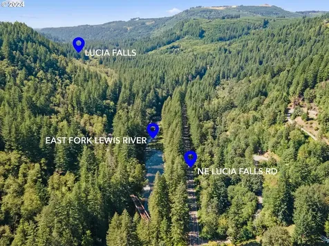 26106 NE Lucia Falls Road Yacolt WA 98675