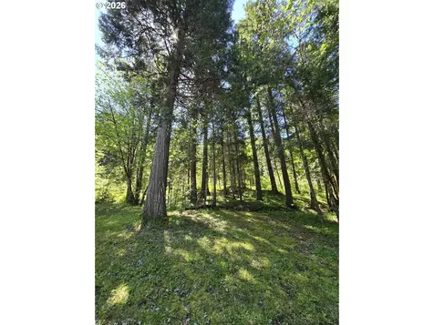 2505 Windy Creek Road Glendale OR 97442