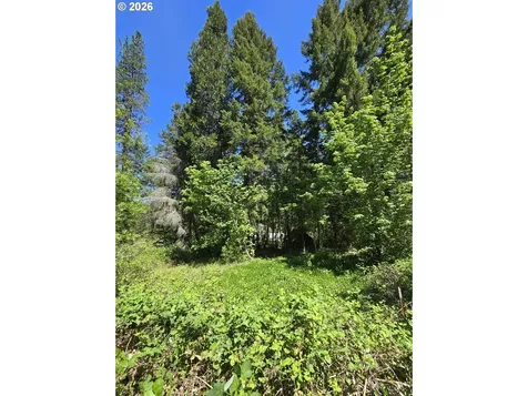 2505 Windy Creek Road Glendale OR 97442