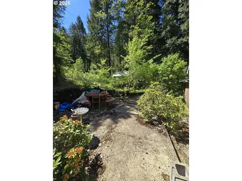 2505 Windy Creek Road Glendale OR 97442
