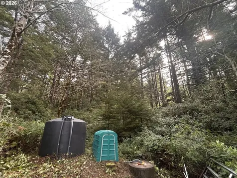 42365 Hensley Hill Road Port Orford OR 97465