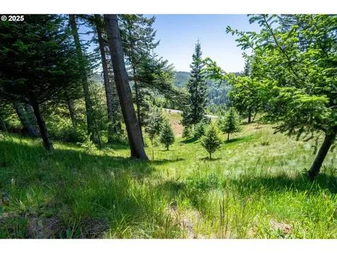 Bridgeview Drive Brookings OR 97415