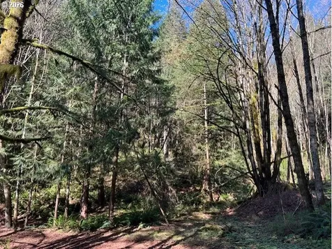 13707 NW Bishop Road Hillsboro OR 97124