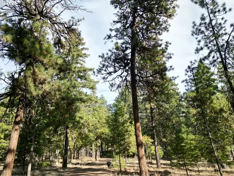 424 Douglas Fir Goldendale WA 98620