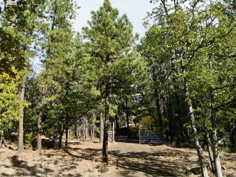 424 Douglas Fir Goldendale WA 98620