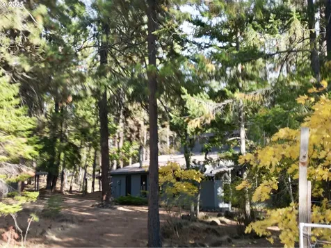 424 Douglas Fir Goldendale WA 98620