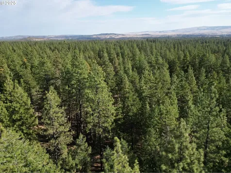 424 Douglas Fir Goldendale WA 98620