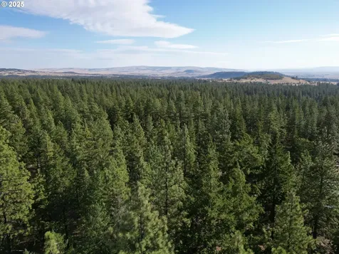 424 Douglas Fir Goldendale WA 98620