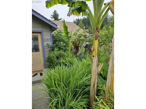 1023 18th Street Myrtle Point OR 97458