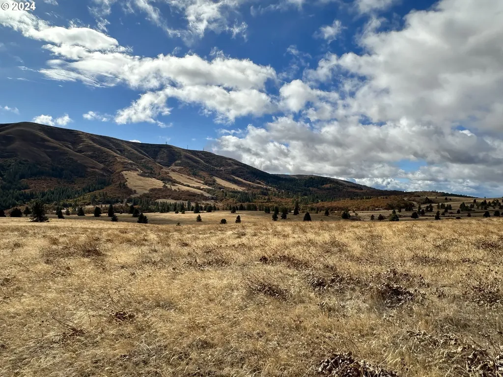 49 Restful Haven Drive Lyle WA 98635