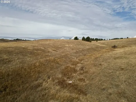 49 Restful Haven Drive Lyle WA 98635