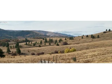 49 Restful Haven Drive Lyle WA 98635