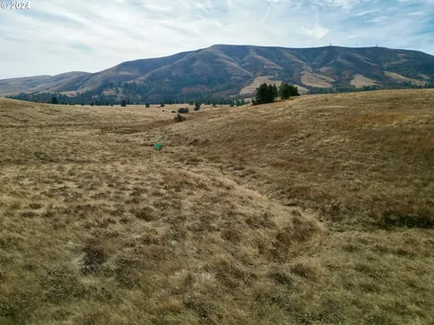 49 Restful Haven Drive Lyle WA 98635