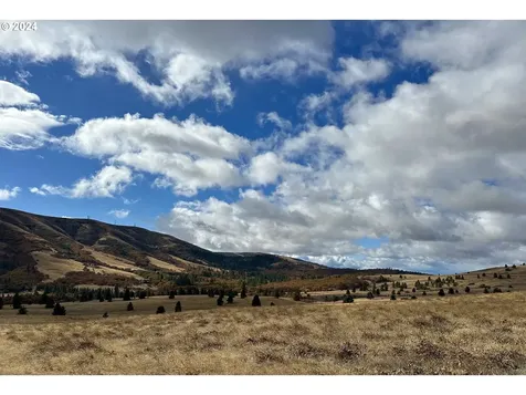 49 Restful Haven Drive Lyle WA 98635