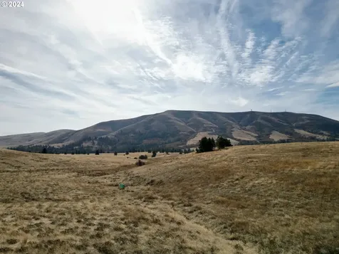 49 Restful Haven Drive Lyle WA 98635