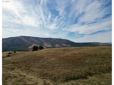 49 Restful Haven Drive Lyle WA 98635