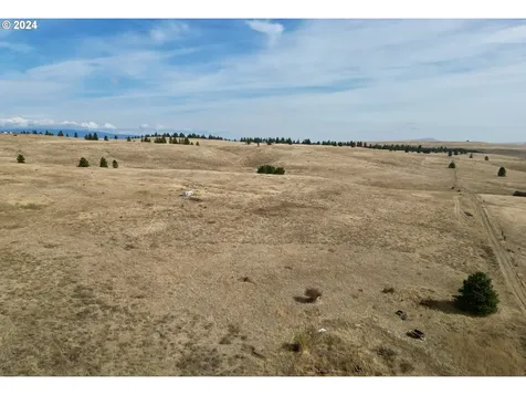 49 Restful Haven Drive Lyle WA 98635