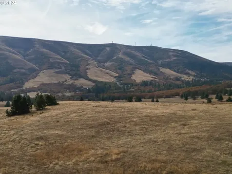 49 Restful Haven Drive Lyle WA 98635