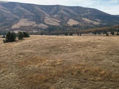49 Restful Haven Drive Lyle WA 98635