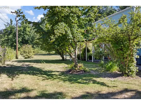 38350 Mckenzie Highway Springfield OR 97478