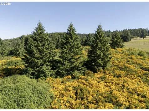6900 NW Gales Creek Road Forest Grove OR 97116