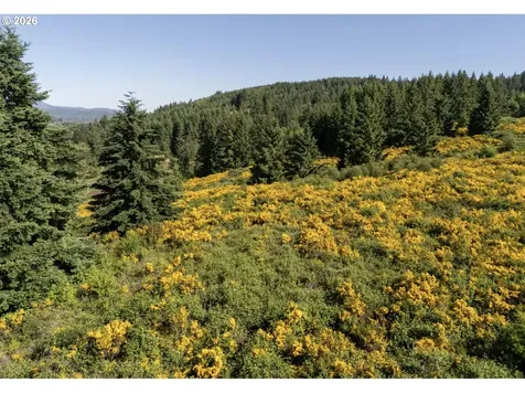 6900 NW Gales Creek Road Forest Grove OR 97116