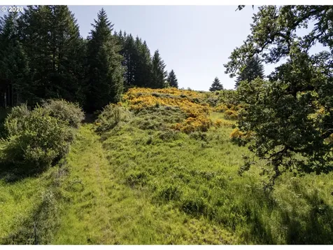6900 NW Gales Creek Road Forest Grove OR 97116