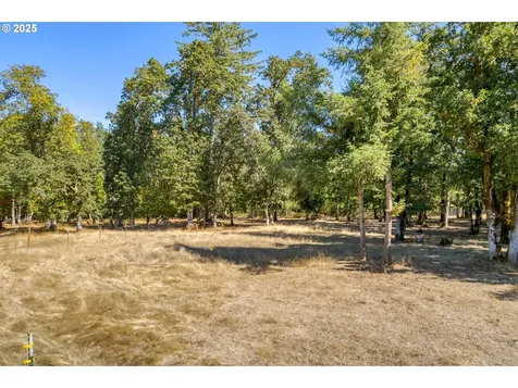 78691 Sears Road Cottage Grove OR 97424
