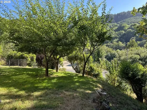 98493 N Bank Chetco River Road Brookings OR 97415