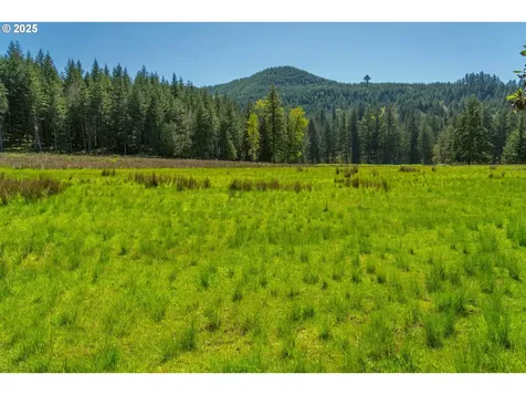 75325 Mosby Creek Road Cottage Grove OR 97424