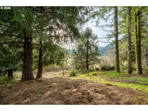 34000 Miami Foley Road Nehalem OR 97131