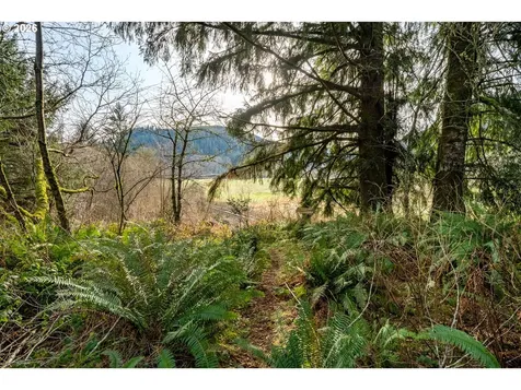 34000 Miami Foley Road Nehalem OR 97131