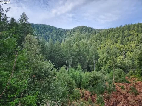 96149 Mcgribble Road Port Orford OR 97465