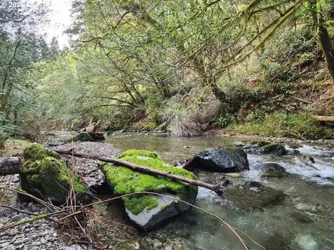 96149 Mcgribble Road Port Orford OR 97465