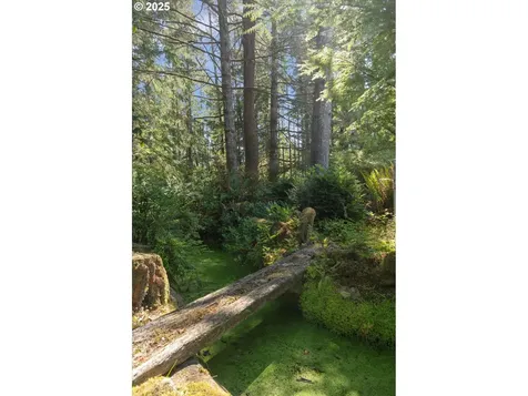1807 243rd Lane Ocean Park WA 98640