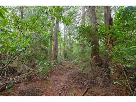 63817 Wallace Road Coos Bay OR 97420