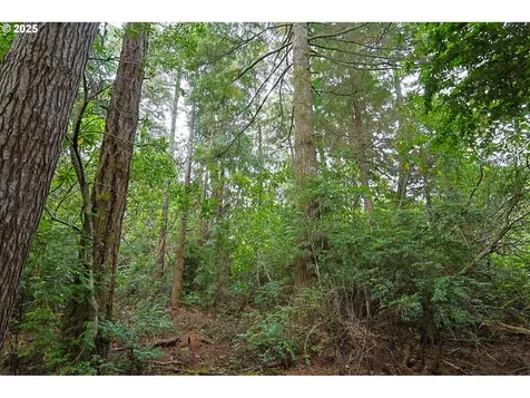 63817 Wallace Road Coos Bay OR 97420