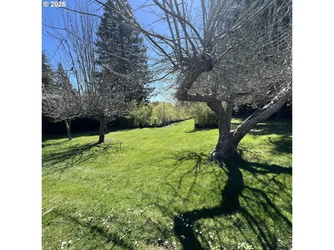 925 7th Street Brookings OR 97415