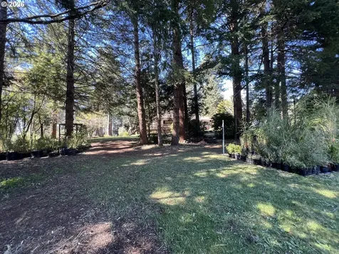 925 7th Street Brookings OR 97415