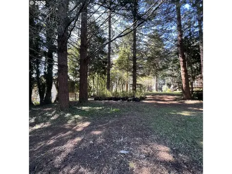 925 7th Street Brookings OR 97415