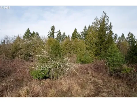 19362 S Henrici Road Oregon City OR 97045