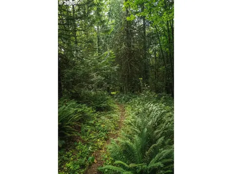 15315 NW Rock Creek Road Portland OR 97231