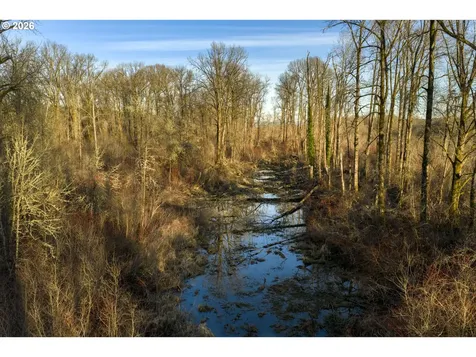 Gull Island Clatskanie OR 97016