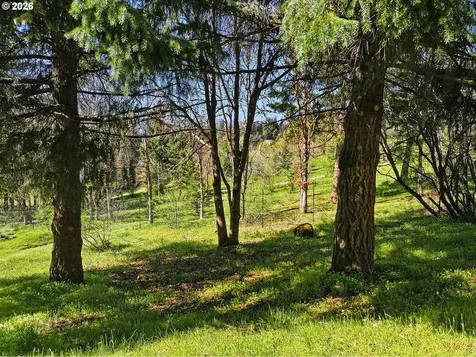 172 Palos Verdes White Salmon WA 98672