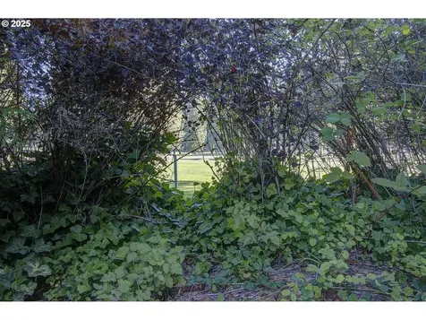 3136 Wildwood Drive Longview WA 98632