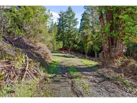 14159 Sitkum Lane Myrtle Point OR 97458