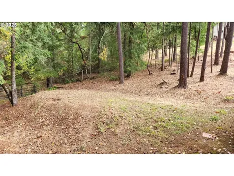 160 Spirit Lane Roseburg OR 97471