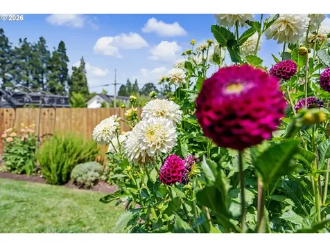 801 Pintail Street Silverton OR 97381