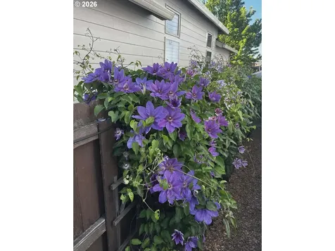 10907 NE 88th Street Vancouver WA 98662